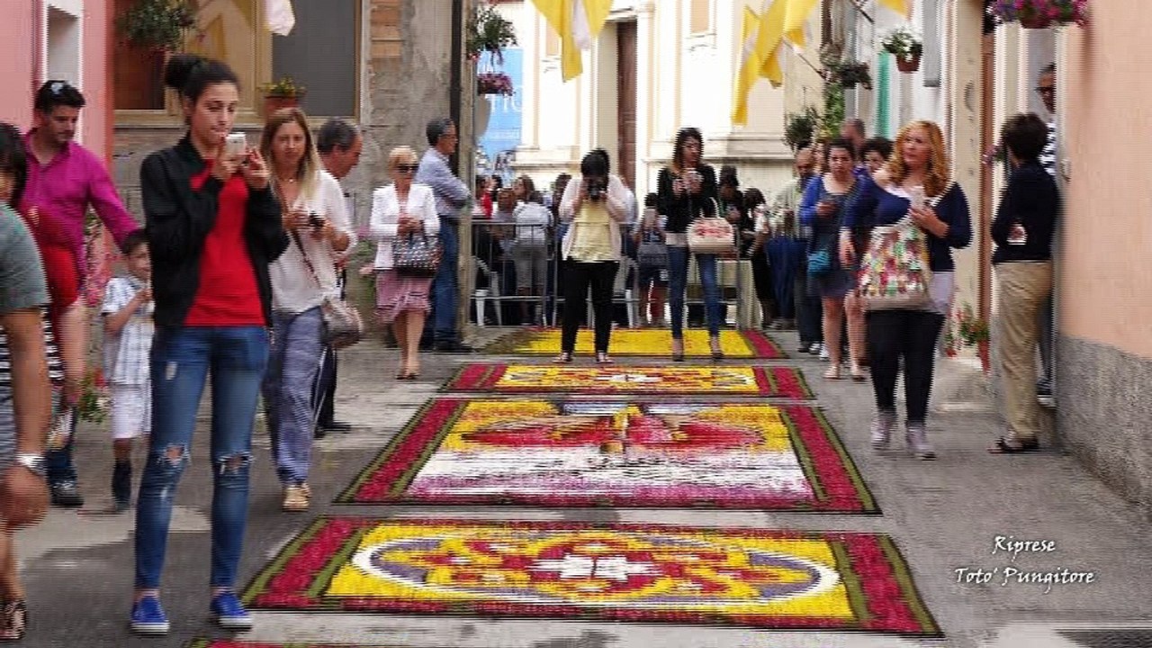 INFIORATA  POTENZONI  2015