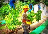 Fundación Corbanacol, 24 años de bienestar para trabajadores del banano