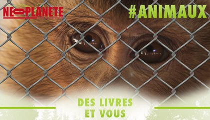 [Des Livres et Vous] Comment sera défendu l’animal de demain ?