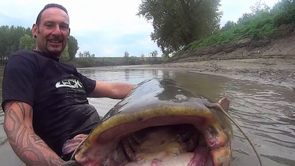 Fisherman fights the largest catfish he’s ever seen