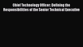 Read Chief Technology Officer: Defining the Responsibilities of the Senior Technical Executive#