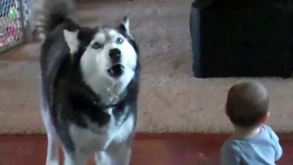 Dog imitates baby