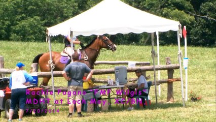 Rachel Pagano "FMF Wilgis" MDHT at Loch Moy Horse Trials, XC/BN. 7/20/2014