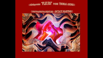 ©HDFLEURSpoèmeTHOMASAndré photos&photos-peintures ANCIAUX Martinecréatricephoto-peinturemondetvweb©