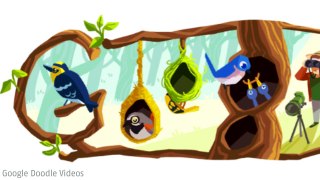Google doodle for Phoebe Snetsinger (Birder)