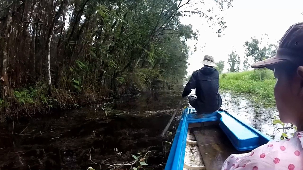 U Minh forest, Ca Mau part 2