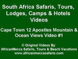 Table Mountain, Twelve (12) Apostles Mountains, Ocean Views Cape Town, South Africa Day Tours #1