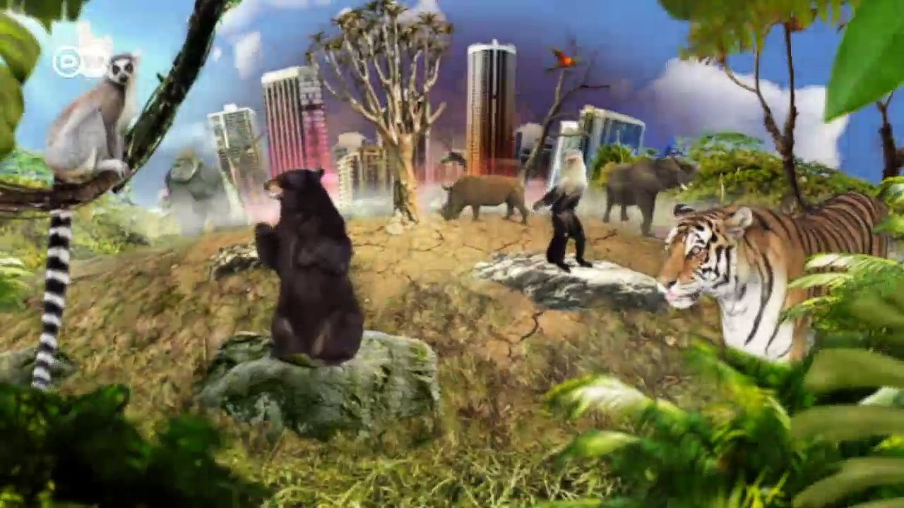 Mumbais Mangroven in Gefahr | Global 3000