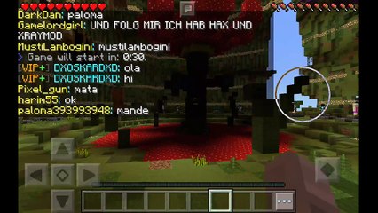 Minecraft hunger games