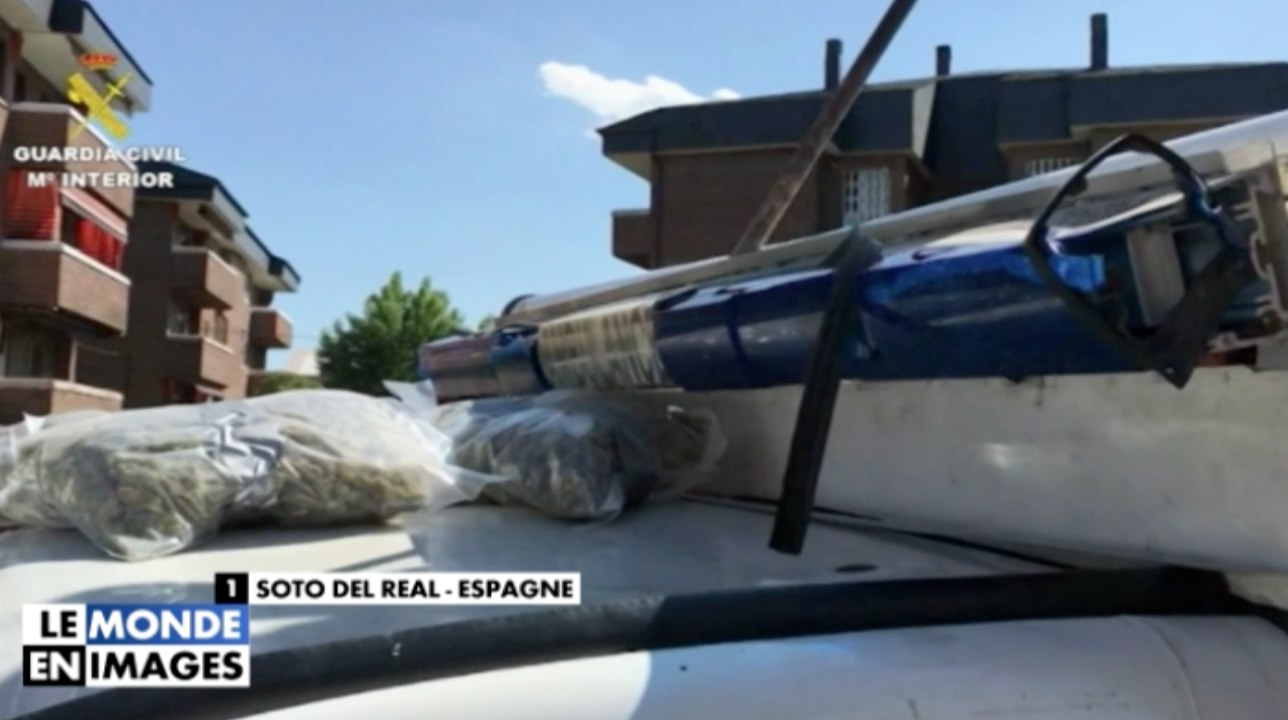 48 kilos de marijuana cachés dans une ambulance ! Zap Actu du 08/06/2016 par lezapping