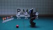 Soccer Playing Robot Predicts the Euro Cup Winner