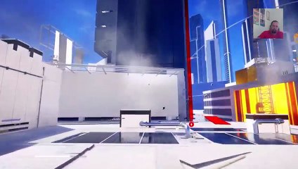Mirrors edge (40)