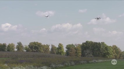 Good (and bad) ways to take down a rogue drone