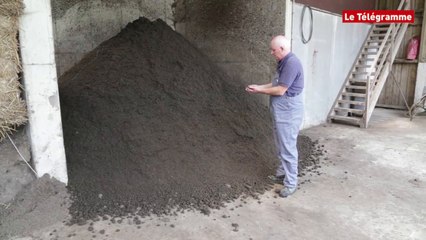 Landunvez. Une porcherie à 13.000 têtes, cela pollue ?