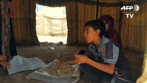 Iraqis displaced by Fallujah fighting take shelter in camp