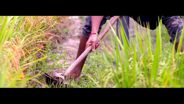 Desi Munda - HarmanDeep | Official Music Video 2016 | Vvanjhali Records