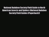 Read Books National Audubon Society Field Guide to North American Insects and Spiders (National