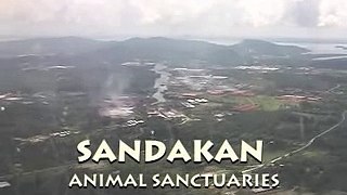 Real Discovery Stories Sandakan Animal Sanctuary Sabah