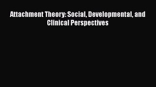 Read Attachment Theory: Social Developmental and Clinical Perspectives Ebook Free
