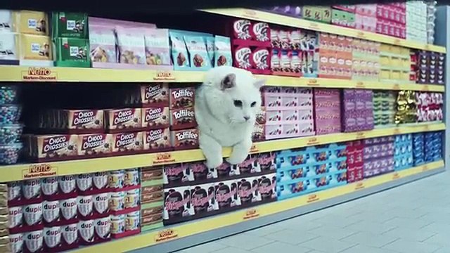 Pub Netto (Des chats font leurs courses)