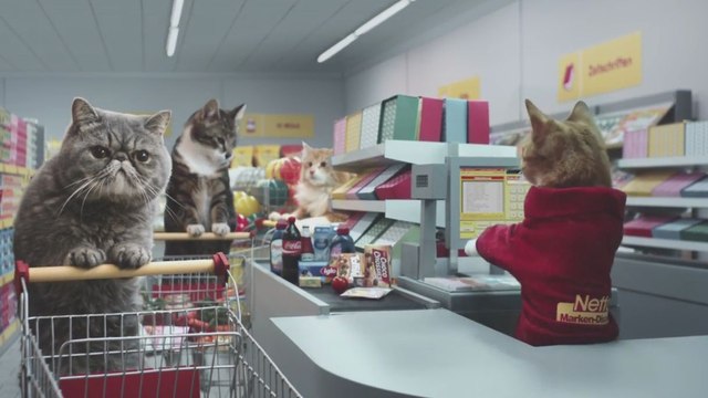 Pub Netto (Des chats font leurs courses)