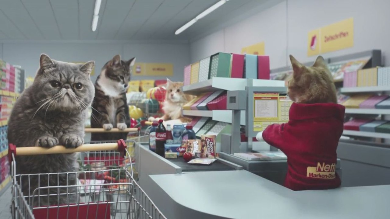 Pub Netto (Des chats font leurs courses)