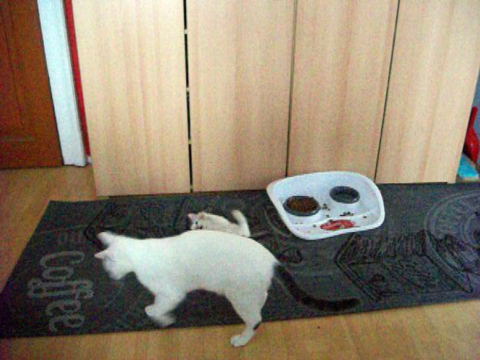 Harvey und Vinzent am 18.10.2015