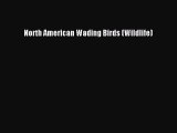 Read Books North American Wading Birds (Wildlife) ebook textbooks