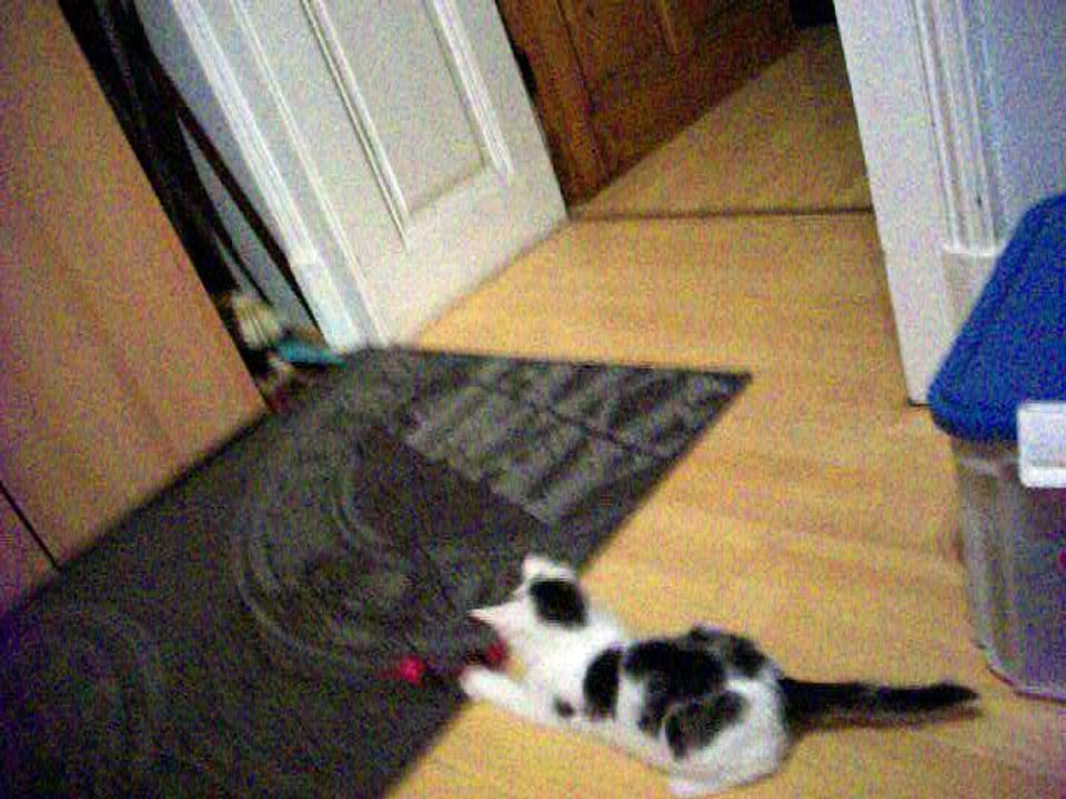 Harvey und Vinzent am 23.10.2015