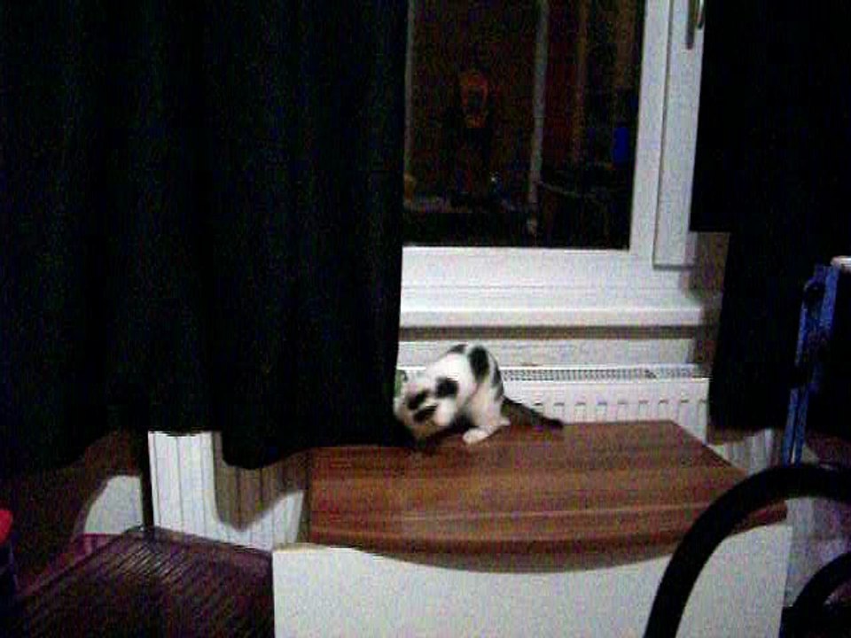 Vinzent am 23.10.2015