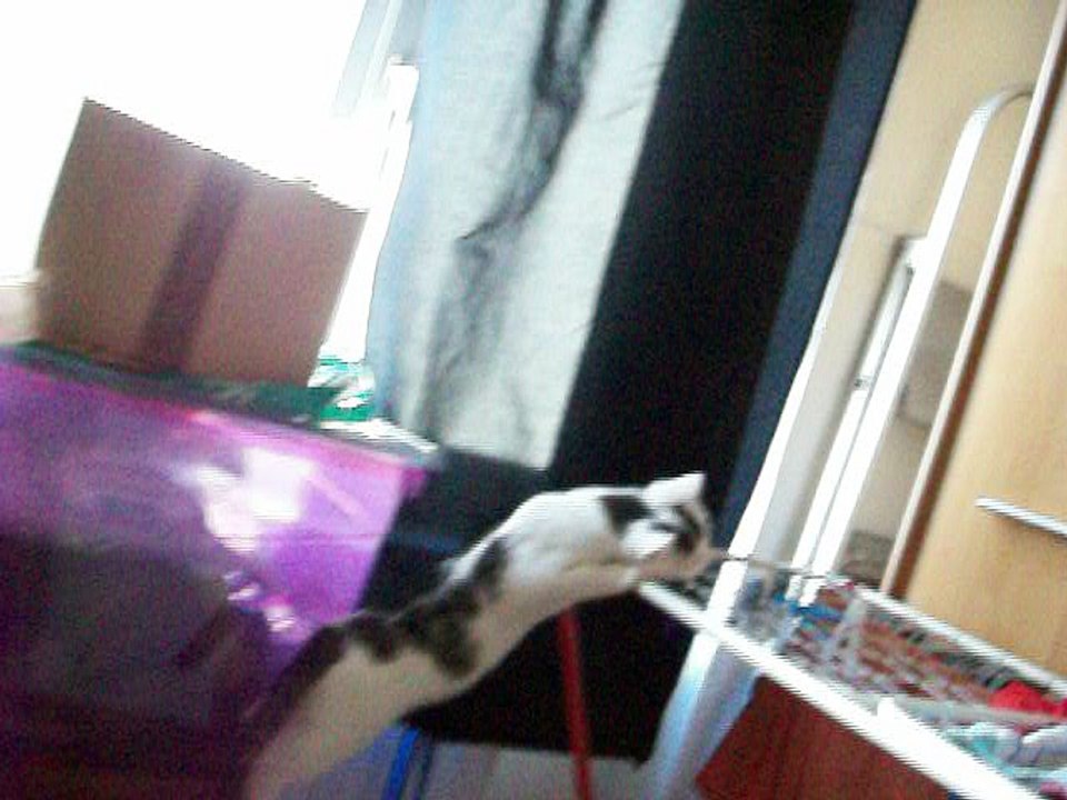 Harvey und Vinzent am 05.12.2015