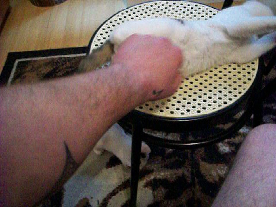 Harvey und Vinzent am 08.12.2015