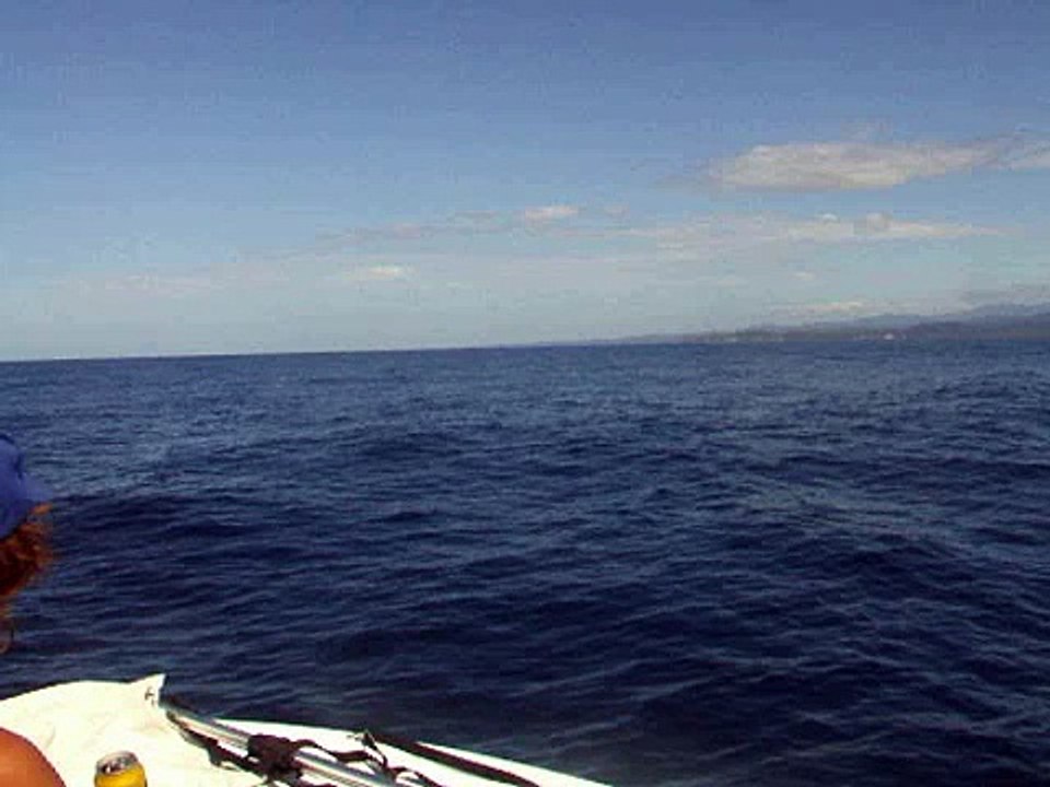 Nosara 29