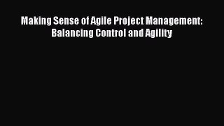 READbook Making Sense of Agile Project Management: Balancing Control and Agility FREE BOOOK