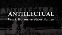 Work Horses vs Show Ponies - from 