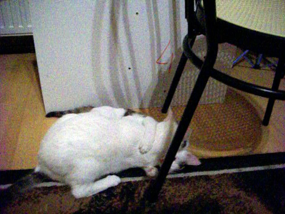 Harvey und Vinzent am 28.12.2015