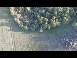 Possible bigfoot in Idaho!! Flying the drone around and ran across this.