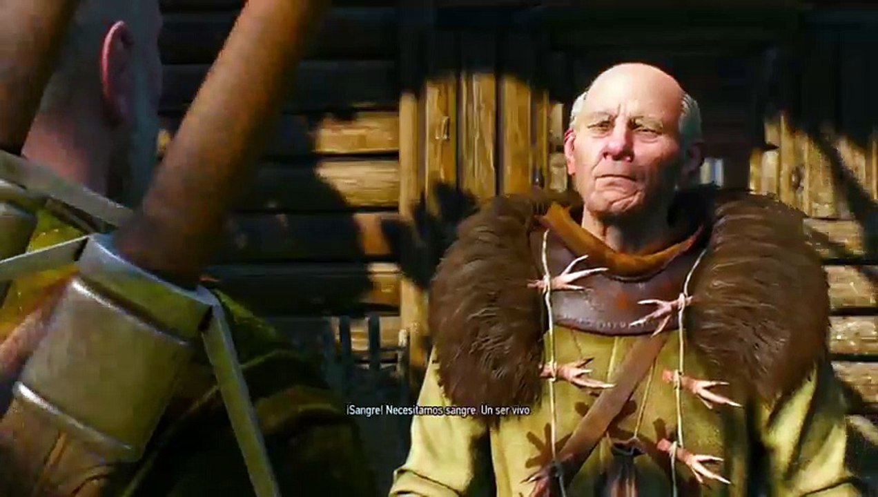 The Witcher3 (37)