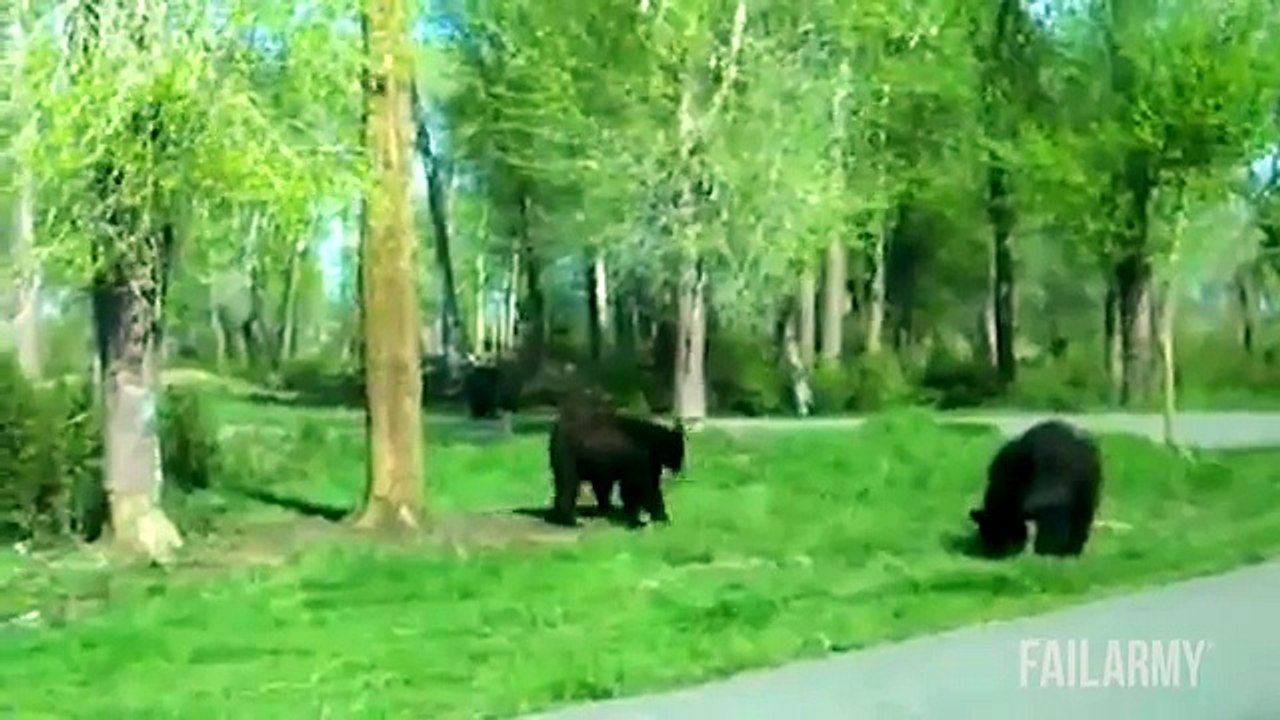 Funny video