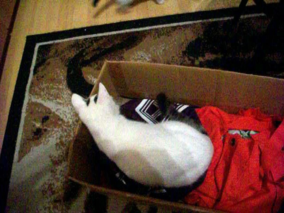 Harvey und Vinzent am 12.11.2015