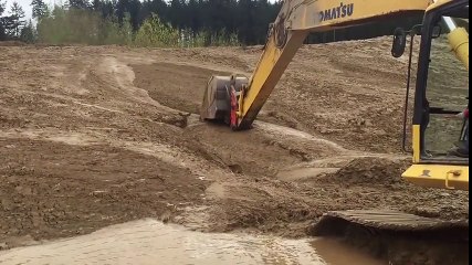 Pris dans la boue, cet animal épuisé n'a que peu de chance de survie ! Mais regardez ce qui se passe !