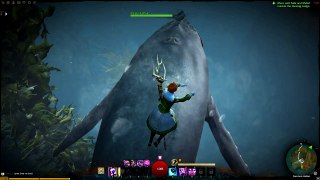 Guild Wars 2 - Lion's Arch - Swimming with Humpback Whale