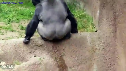 Fazla Ses Çıkaran Çocuklara Bu Bir Ders Olsun.