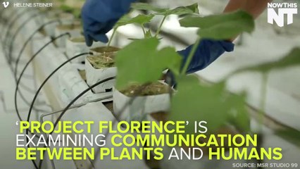 Microsoft Wants You To Talk To Your Plants