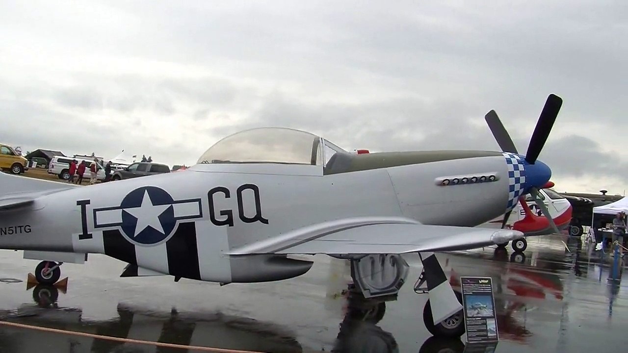 2_3 scale P-51 Mustang Ground display
