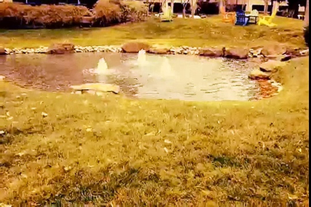 West Campus Pond 23