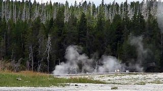 2010 28 Juli Yellowstone National Park 023.AVI