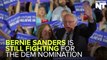 Trump And Clinton Try To Win Bernie Sanders' Supporters