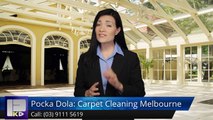 Pocka Dola: Carpet Cleaning Melbourne Harkaway Remarkable5 Star Review by Michelle D.