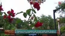 Ferruh Muştuer İsra suresi Ramazan Ramazan 2016